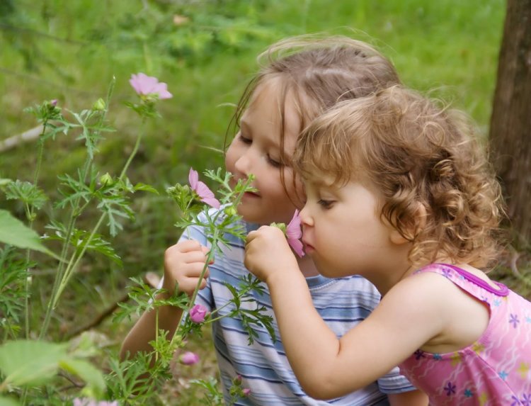 Osvědčené rady, jak si užít zahradu i jako alergik