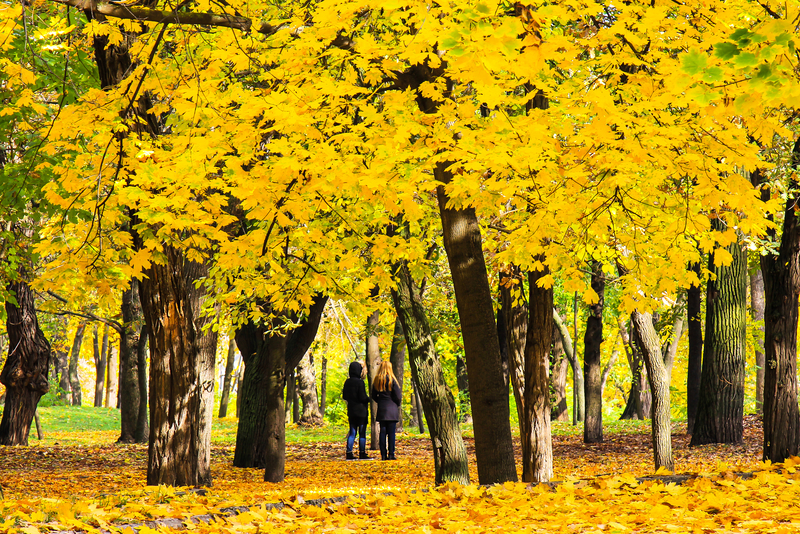 Early autumn and indoor air quality