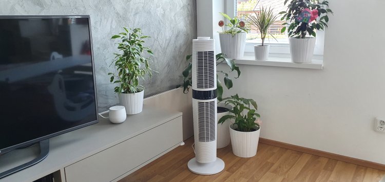 Why is it worth using a fan?