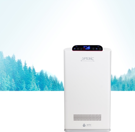 More about the SPRING air purifier