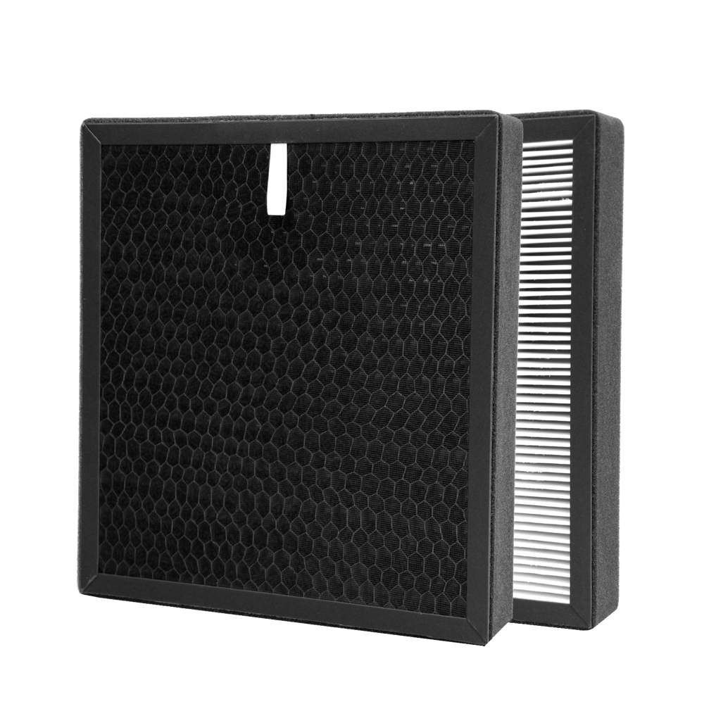 Hepa and sales carbon filter